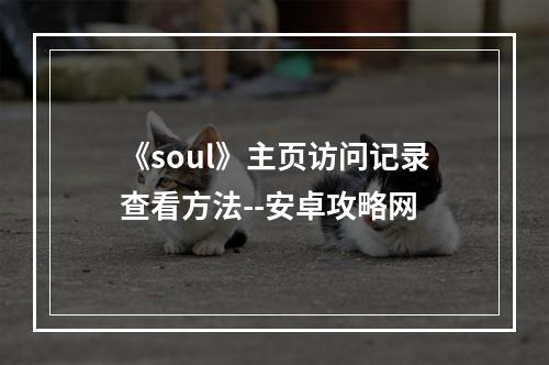 《soul》主页访问记录查看方法--安卓攻略网