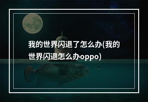 我的世界闪退了怎么办(我的世界闪退怎么办oppo)