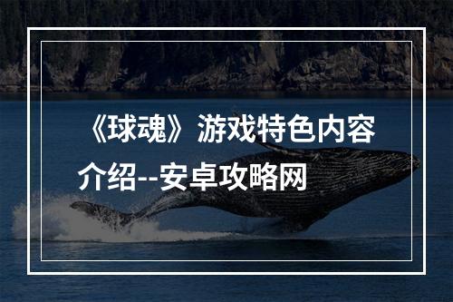 《球魂》游戏特色内容介绍--安卓攻略网