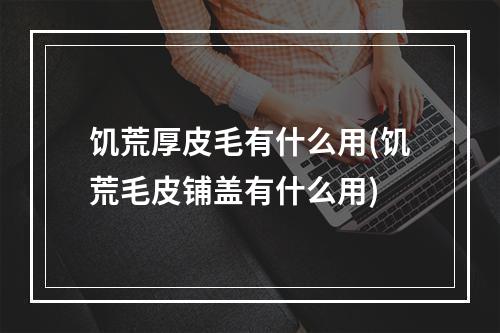 饥荒厚皮毛有什么用(饥荒毛皮铺盖有什么用)