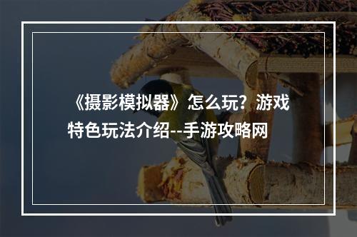 《摄影模拟器》怎么玩？游戏特色玩法介绍--手游攻略网