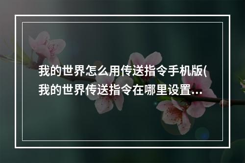 我的世界怎么用传送指令手机版(我的世界传送指令在哪里设置手机)