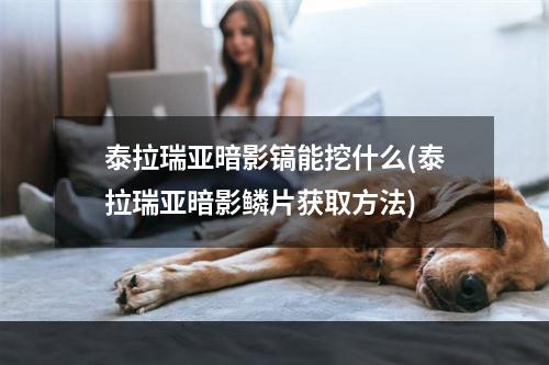 泰拉瑞亚暗影镐能挖什么(泰拉瑞亚暗影鳞片获取方法)