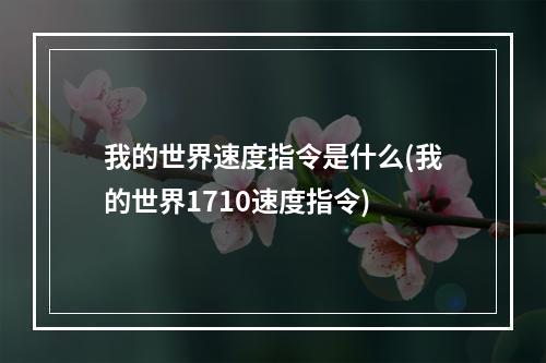 我的世界速度指令是什么(我的世界1710速度指令)