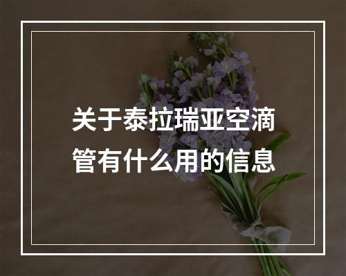 关于泰拉瑞亚空滴管有什么用的信息