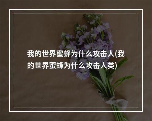 我的世界蜜蜂为什么攻击人(我的世界蜜蜂为什么攻击人类)