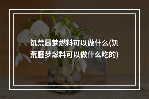 饥荒噩梦燃料可以做什么(饥荒噩梦燃料可以做什么吃的)