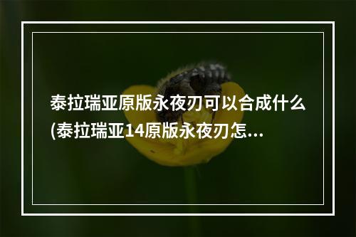 泰拉瑞亚原版永夜刃可以合成什么(泰拉瑞亚14原版永夜刃怎么合成)