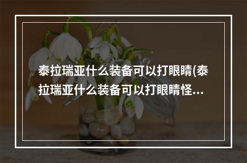 泰拉瑞亚什么装备可以打眼睛(泰拉瑞亚什么装备可以打眼睛怪)