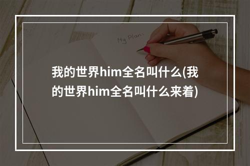 我的世界him全名叫什么(我的世界him全名叫什么来着)