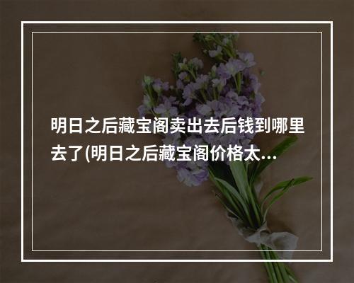 明日之后藏宝阁卖出去后钱到哪里去了(明日之后藏宝阁价格太高会不会卖不出去)