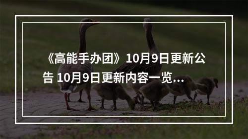 《高能手办团》10月9日更新公告 10月9日更新内容一览--游戏攻略网