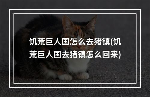 饥荒巨人国怎么去猪镇(饥荒巨人国去猪镇怎么回来)