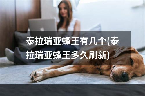 泰拉瑞亚蜂王有几个(泰拉瑞亚蜂王多久刷新)