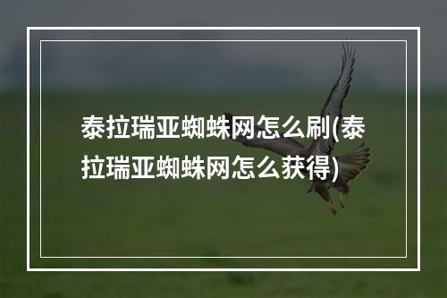 泰拉瑞亚蜘蛛网怎么刷(泰拉瑞亚蜘蛛网怎么获得)