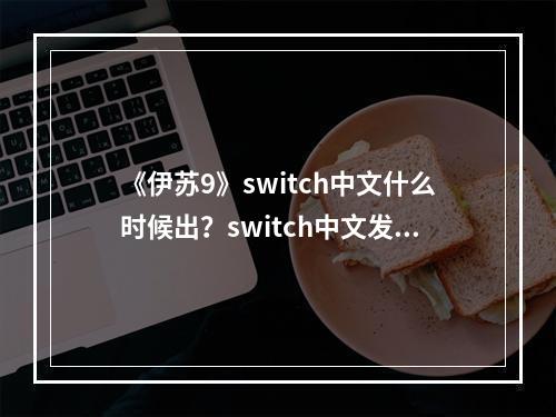 《伊苏9》switch中文什么时候出？switch中文发售时间--手游攻略网