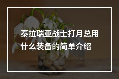 泰拉瑞亚战士打月总用什么装备的简单介绍