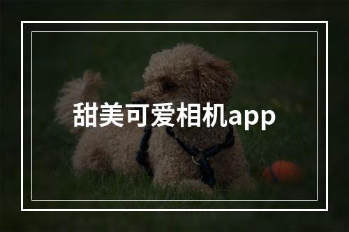 甜美可爱相机app