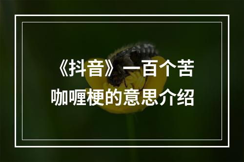 《抖音》一百个苦咖喱梗的意思介绍