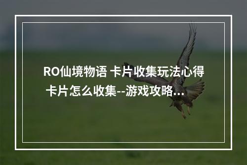 RO仙境物语 卡片收集玩法心得 卡片怎么收集--游戏攻略网