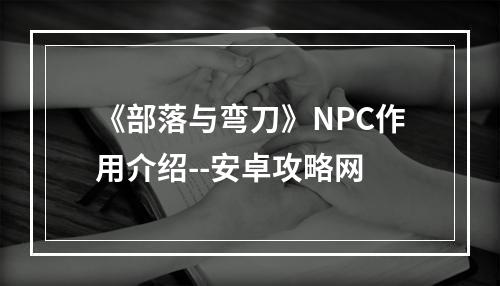 《部落与弯刀》NPC作用介绍--安卓攻略网