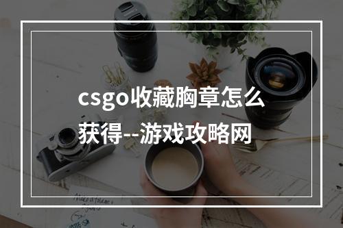 csgo收藏胸章怎么获得--游戏攻略网