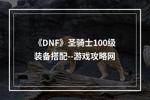 《DNF》圣骑士100级装备搭配--游戏攻略网