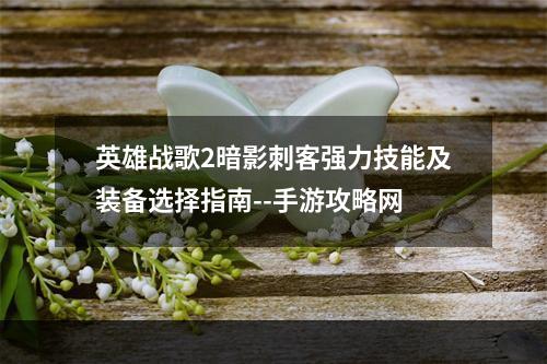 英雄战歌2暗影刺客强力技能及装备选择指南--手游攻略网