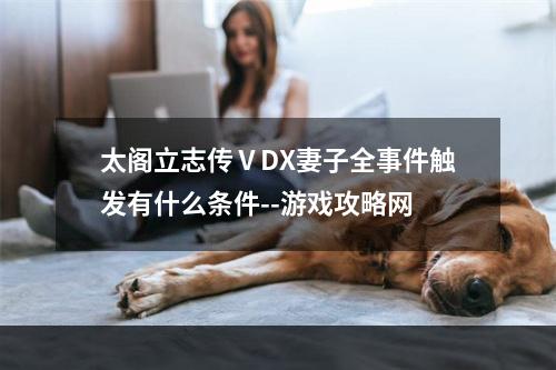 太阁立志传ⅤDX妻子全事件触发有什么条件--游戏攻略网