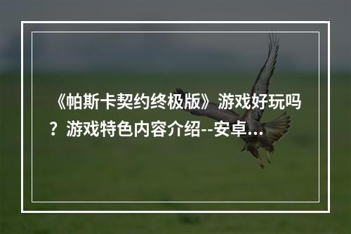 《帕斯卡契约终极版》游戏好玩吗？游戏特色内容介绍--安卓攻略网