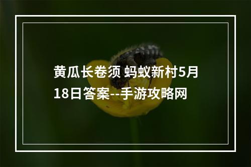 黄瓜长卷须 蚂蚁新村5月18日答案--手游攻略网