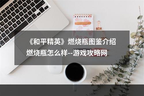 《和平精英》燃烧瓶图鉴介绍 燃烧瓶怎么样--游戏攻略网