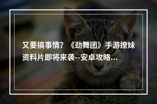 又要搞事情？《劲舞团》手游撩妹资料片即将来袭--安卓攻略网