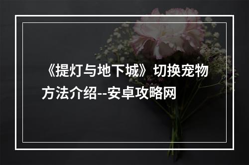 《提灯与地下城》切换宠物方法介绍--安卓攻略网