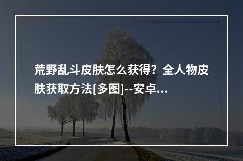 荒野乱斗皮肤怎么获得？全人物皮肤获取方法[多图]--安卓攻略网