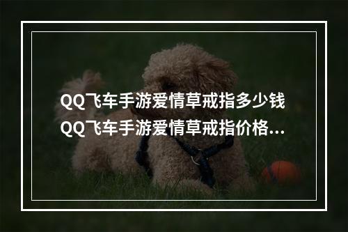 QQ飞车手游爱情草戒指多少钱 QQ飞车手游爱情草戒指价格--安卓攻略网