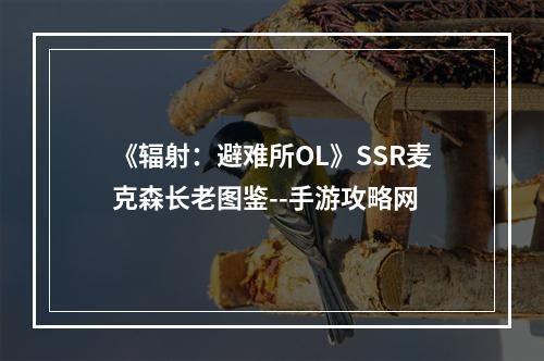 《辐射：避难所OL》SSR麦克森长老图鉴--手游攻略网