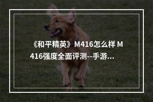 《和平精英》M416怎么样 M416强度全面评测--手游攻略网