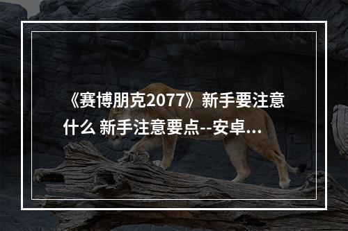 《赛博朋克2077》新手要注意什么 新手注意要点--安卓攻略网