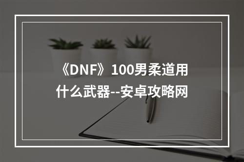 《DNF》100男柔道用什么武器--安卓攻略网