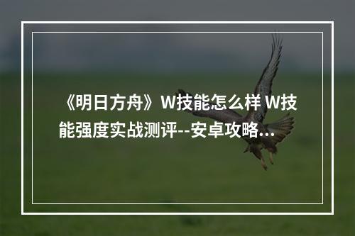 《明日方舟》W技能怎么样 W技能强度实战测评--安卓攻略网