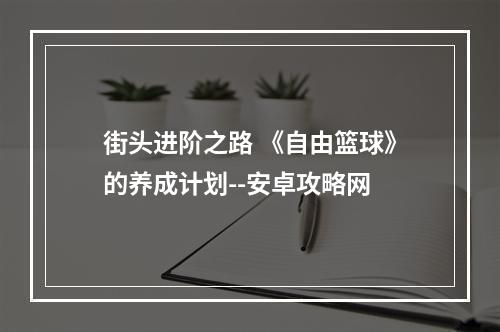 街头进阶之路 《自由篮球》的养成计划--安卓攻略网