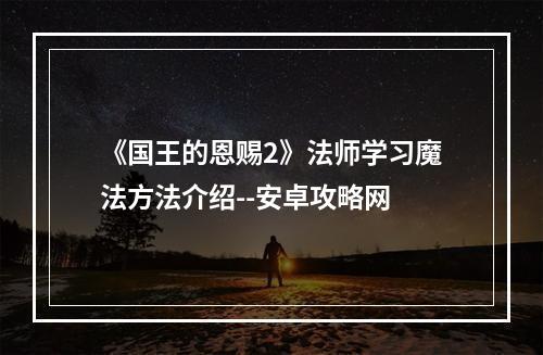 《国王的恩赐2》法师学习魔法方法介绍--安卓攻略网