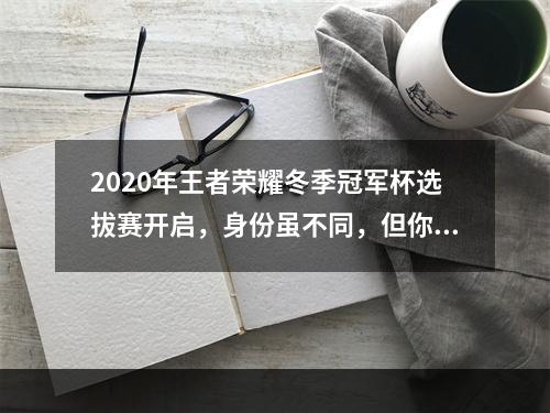 2020年王者荣耀冬季冠军杯选拔赛开启，身份虽不同，但你我皆是王者！--手游攻略网