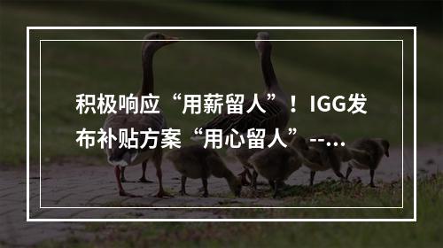 积极响应“用薪留人”！IGG发布补贴方案“用心留人”--游戏攻略网