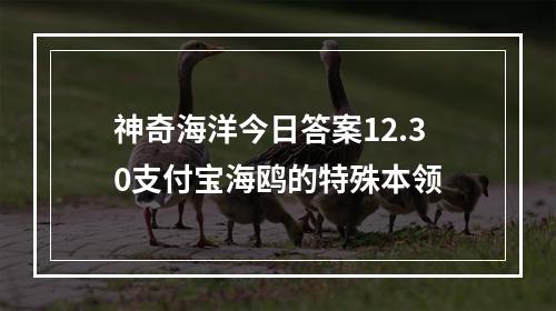 神奇海洋今日答案12.30支付宝海鸥的特殊本领