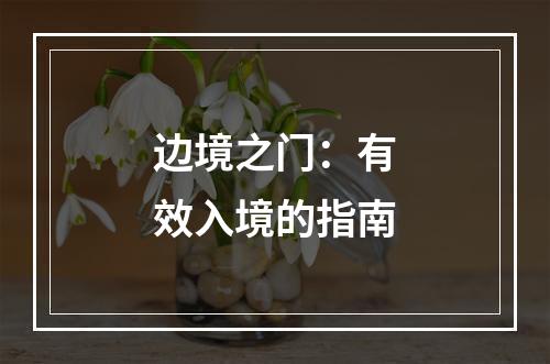 边境之门：有效入境的指南