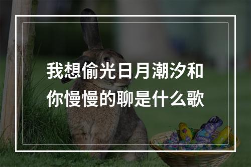 我想偷光日月潮汐和你慢慢的聊是什么歌