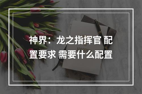 神界：龙之指挥官 配置要求 需要什么配置