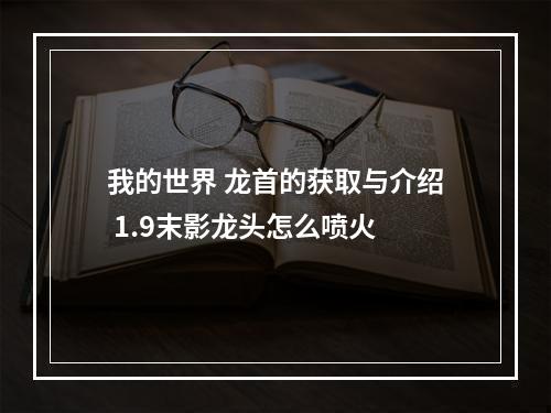 我的世界 龙首的获取与介绍 1.9末影龙头怎么喷火